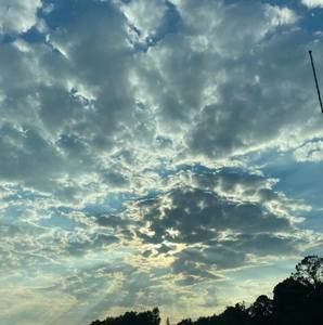 Meet your Posher, Gale